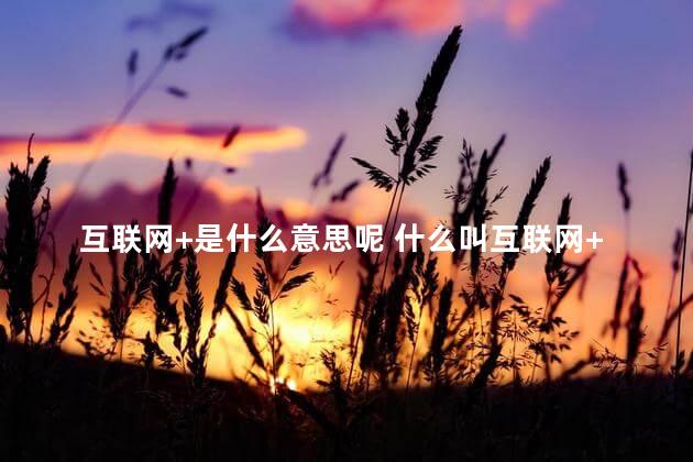 互联网+是什么意思呢 什么叫互联网+是什么意思